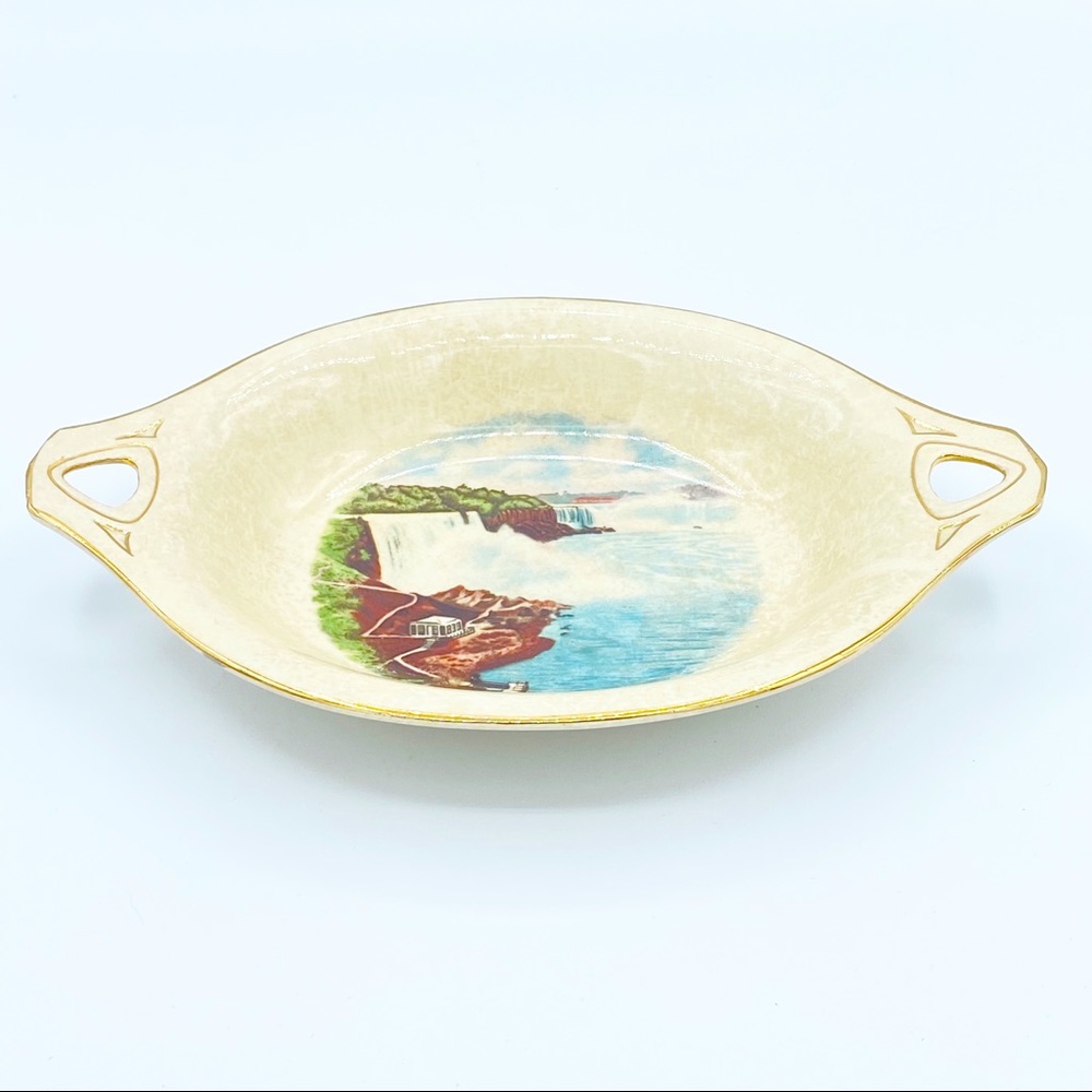 Vintage - Niagara Falls Royal Wilton Plate